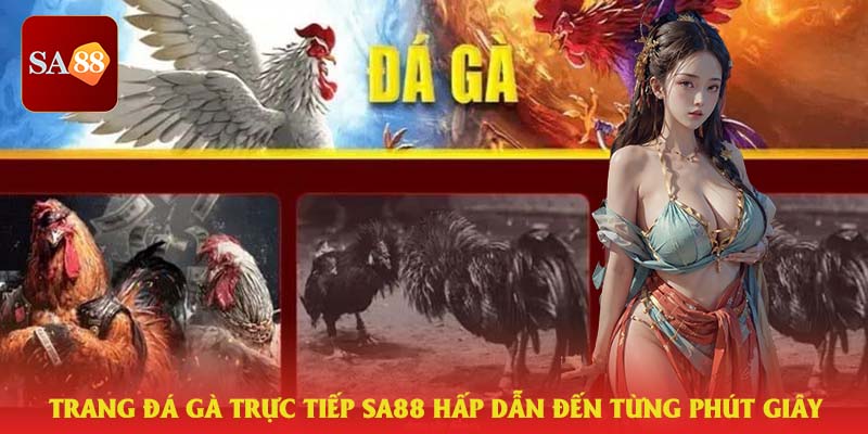 Trang đá gà trực tiếp SA88